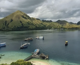 Sedang Merencanakan Komodo Tour Bersama Anak? Ini Manfaatnya!